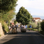 serrone 2014 (13)